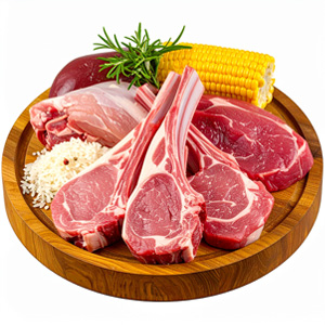 VZOREK Granule pro psy TYGERO DAILY BEEF - střední a velké plemeno