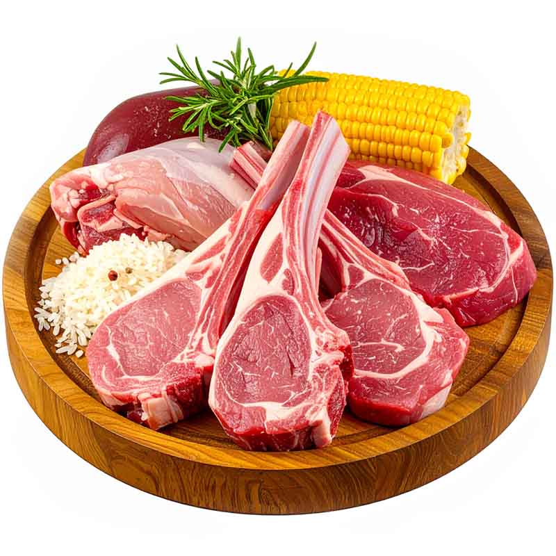 Obrazek VZOREK Granule pro psy TYGERO DAILY BEEF - střední a velké plemeno