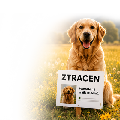 Ztracené zvíře v registru TYGERO