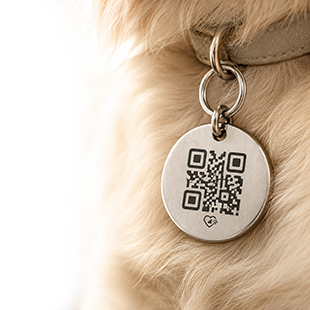 QR známka TYGERO na obojku psa