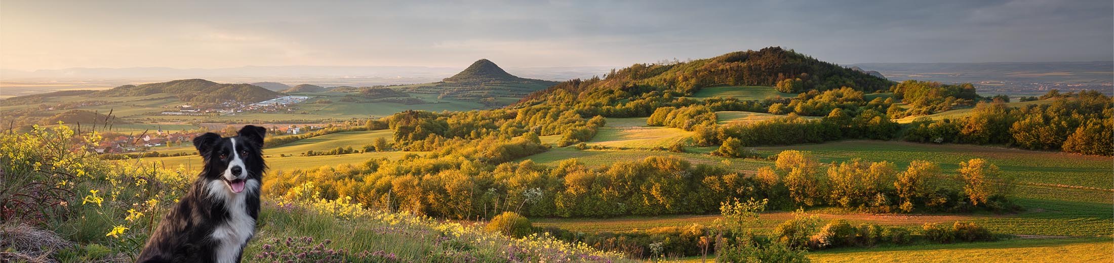 TYGERO® – krmivo pro znalce